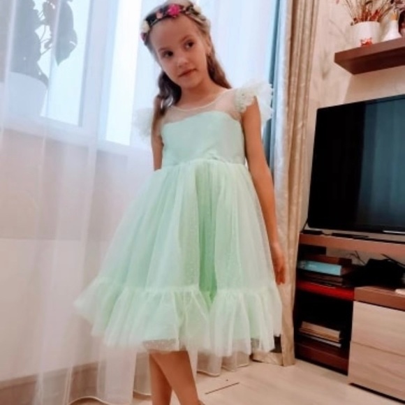 Girl dresses brand new - Picture 4 of 7